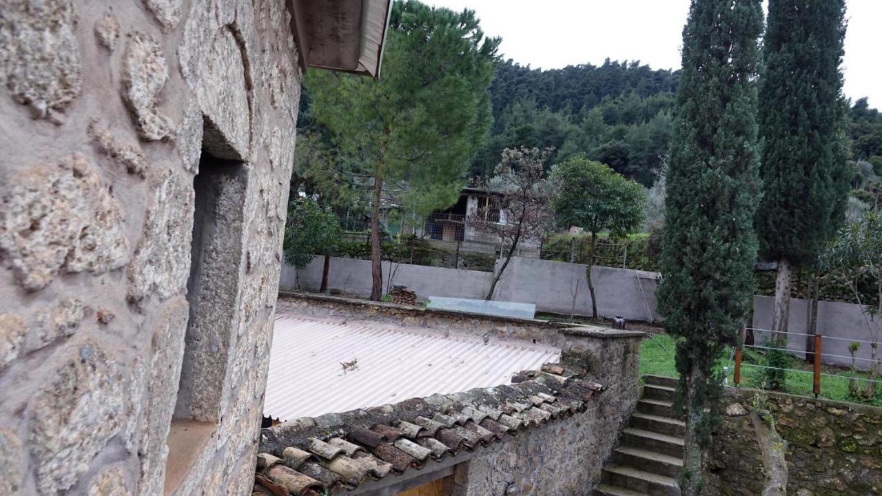 فيلا The Old Olive Mill House Aegae المظهر الخارجي الصورة